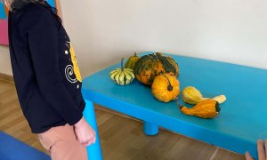 Dzień Dyni w grupie Żabki - Zdjęcie 80